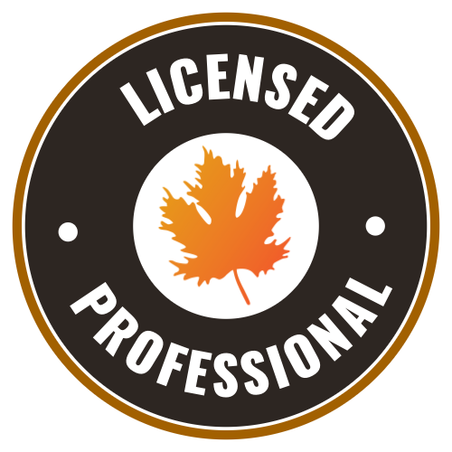 licensed professional